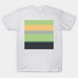 An outstanding harmonization of Silver Foil, Onyx, Oxley, Laurel Green and Sand stripes. T-Shirt